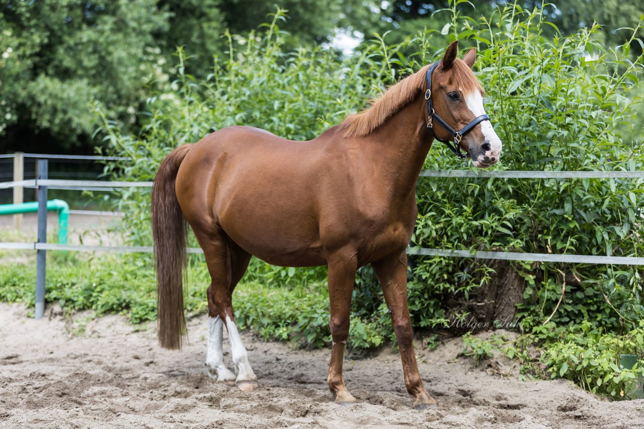 Bild 79 - Vivi